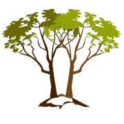 (c) Rewardinggenealogy.com